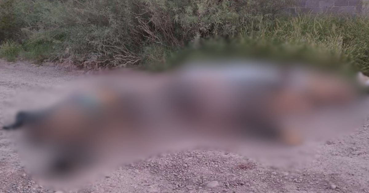 Suman 140 homicidios dolosos en Chihuahua; Ojinaga dispara cifras