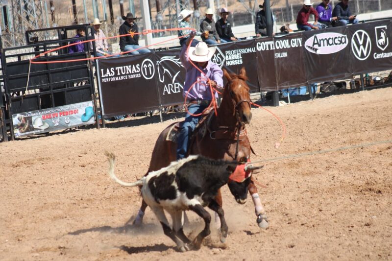 699e29f1ee75d__699e29f1ee75e-scaled-1