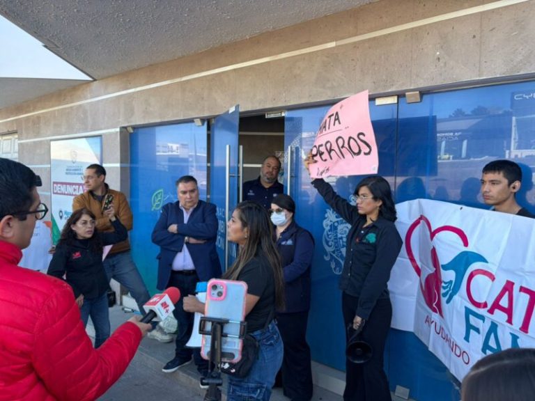 76490ab7-5f64-4792-a63f-e106b6370752-scaled-1