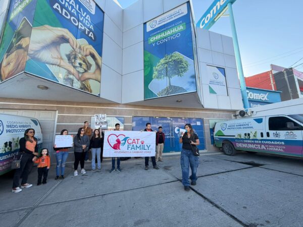 Noticias Chihuahua PAUSA.MX Ignora municipio manifestación y peticiones de animalistas Noticias Chihuahua Pausa.MX Ignora municipio manifestación y peticiones de animalistas