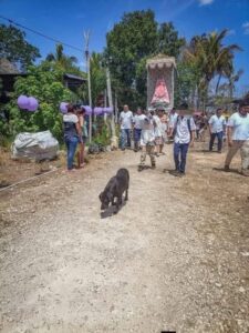 Triste Adiós: La perrita Peregrina, alma fiel del Santuario de Tetiz