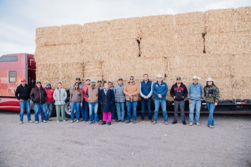 WhatsApp-Image-2026-02-04-at-110755-AM-scaled-1