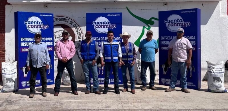 WhatsApp-Image-2026-02-09-at-120343-PM-scaled-1