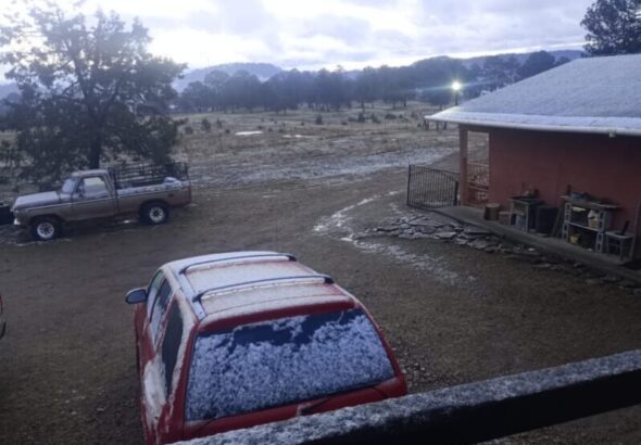 WhatsApp-Image-2026-02-10-at-103313-AM-scaled-1