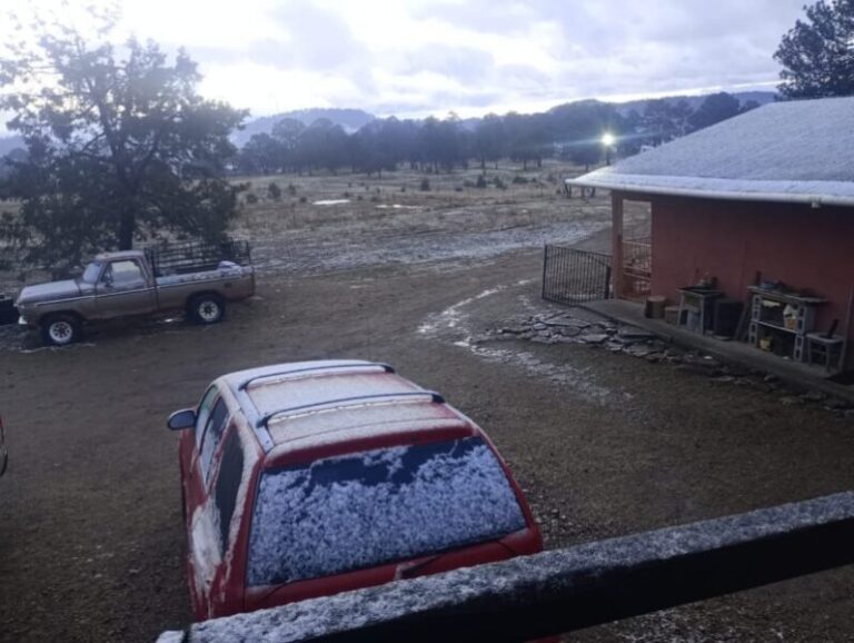 WhatsApp-Image-2026-02-10-at-103313-AM-scaled-1