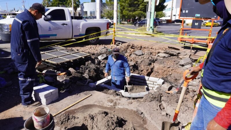 WhatsApp-Image-2026-02-17-at-122312-PM-scaled-1