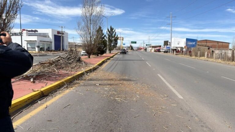 WhatsApp-Image-2026-02-17-at-31937-PM-scaled-1