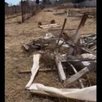 WhatsApp-Image-2026-02-20-at-25508-PM-scaled-1