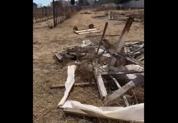 WhatsApp-Image-2026-02-20-at-25508-PM-scaled-1