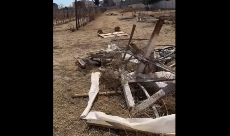 WhatsApp-Image-2026-02-20-at-25508-PM-scaled-1