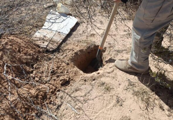 WhatsApp-Image-2026-02-25-at-10211-PM-scaled-1