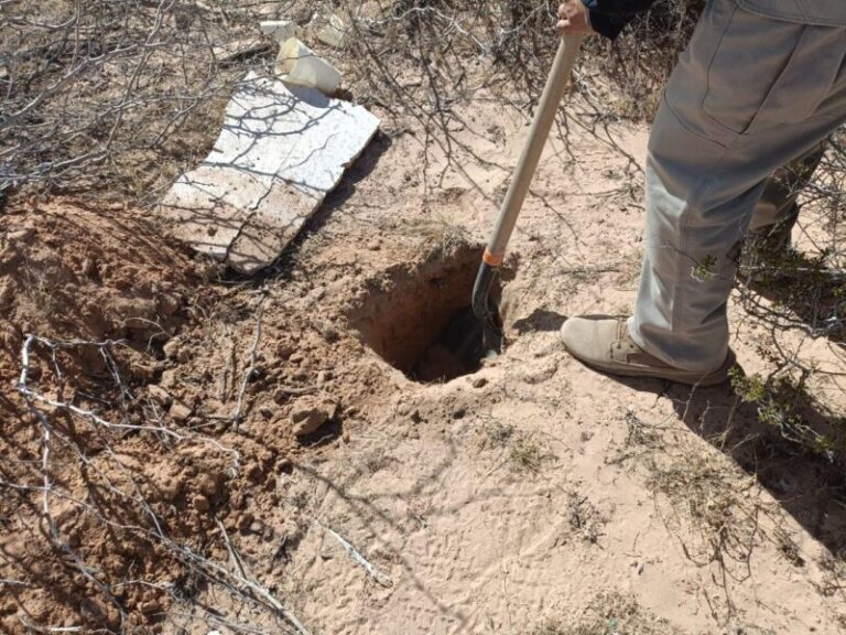 WhatsApp-Image-2026-02-25-at-10211-PM-scaled-1