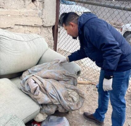 Refuerza Salud vigilancia epidemiológica contra la rickettsiosis