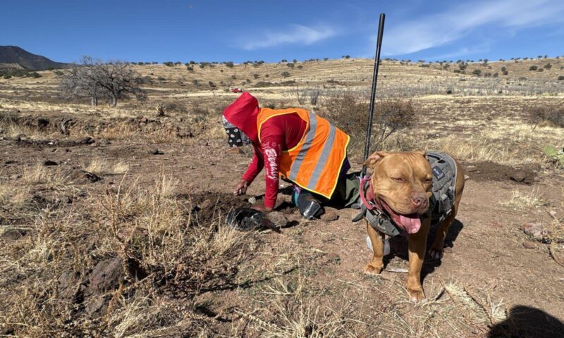 d5b21137-6447-468c-b3a9-c38c94dfbe94-scaled-1