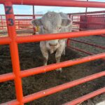 f7d20733-28b1-423b-8000-d07dc6fff91e-scaled-1