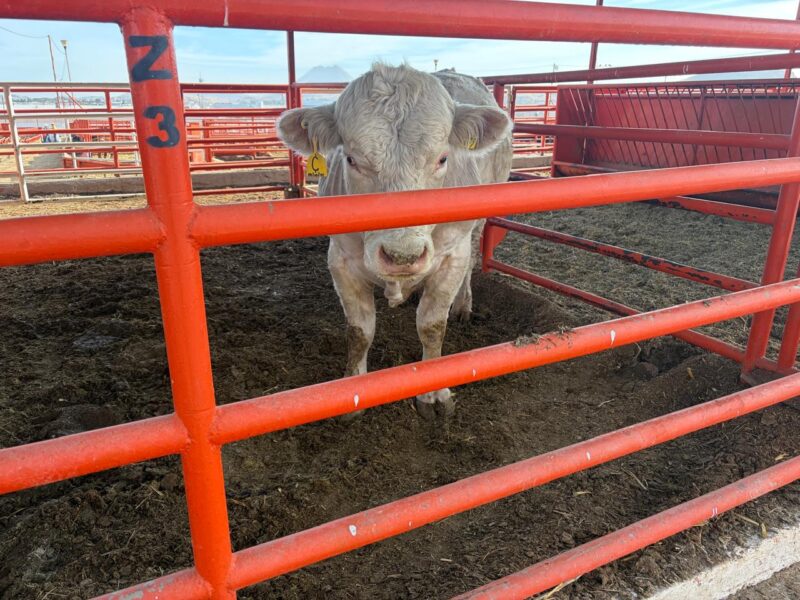 f7d20733-28b1-423b-8000-d07dc6fff91e-scaled-1