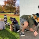 que-son-los-therian-viral-redes-1024x678-1