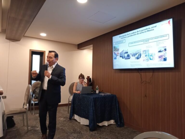 Importó SuKarne siete mil cabezas de ganado