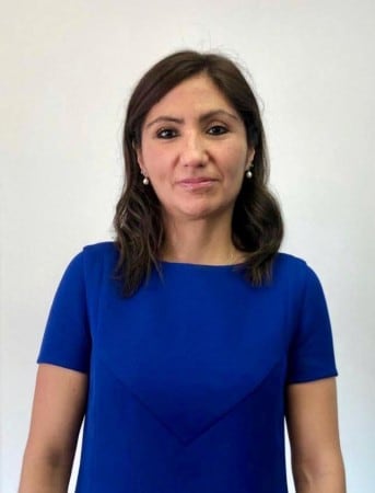 ¿Quién es Andrea González Hernández?  Directora Ejecutiva de ASEA
