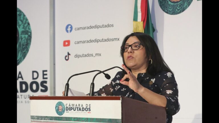 Diputada del PT condena mensajes en Oaxaca que la llaman “traidora”