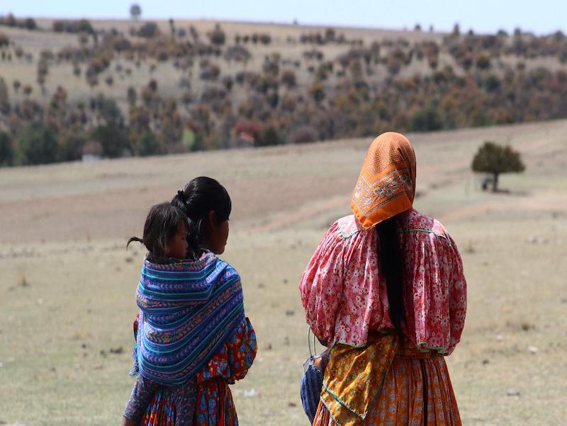 Crisis de desplazamiento forzado golpea a comunidades en Chihuahua