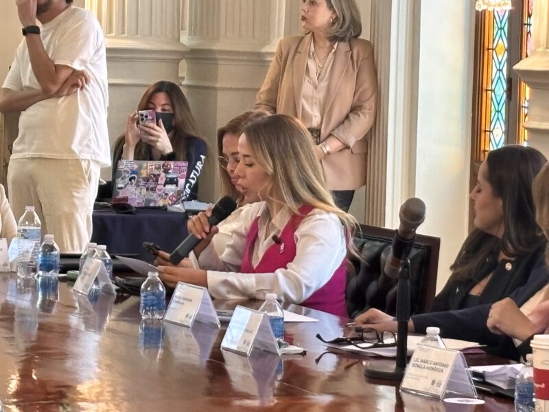 Regidora Ana Lilia Orozco solicita construcción de mural conmemorativo a la No Violencia Contra Mujeres