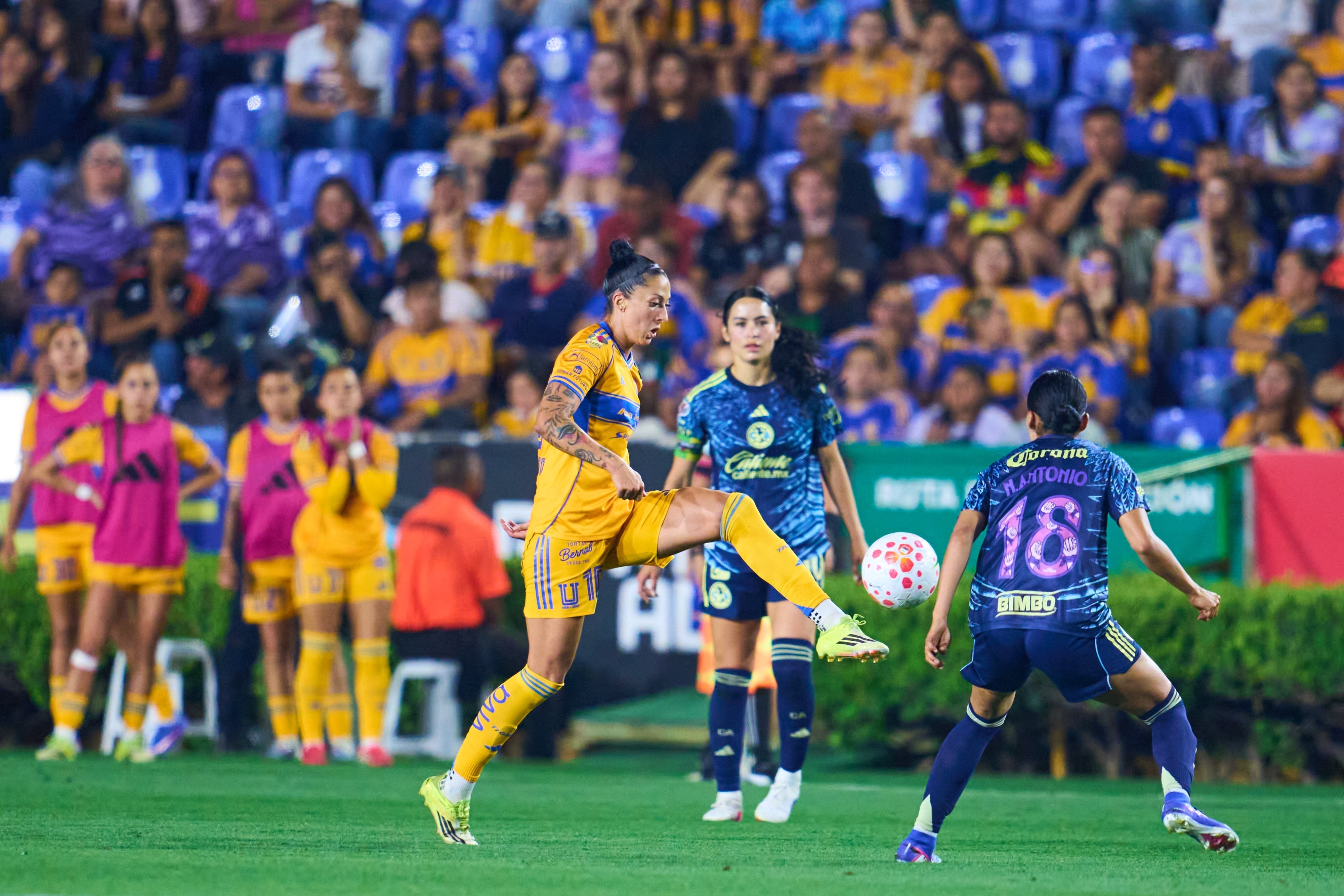 Tigres en la Liga MX Femenil.
