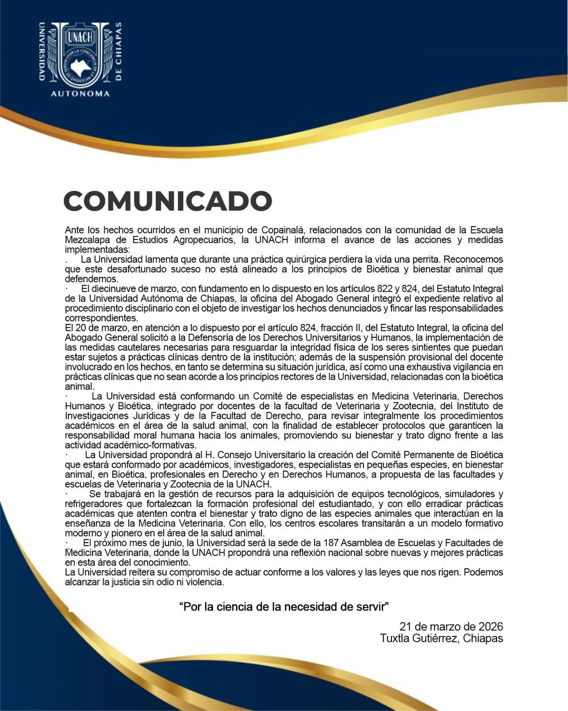 Estudiantes de veterinaria en Chiapas, denunciados por matar a una perrita