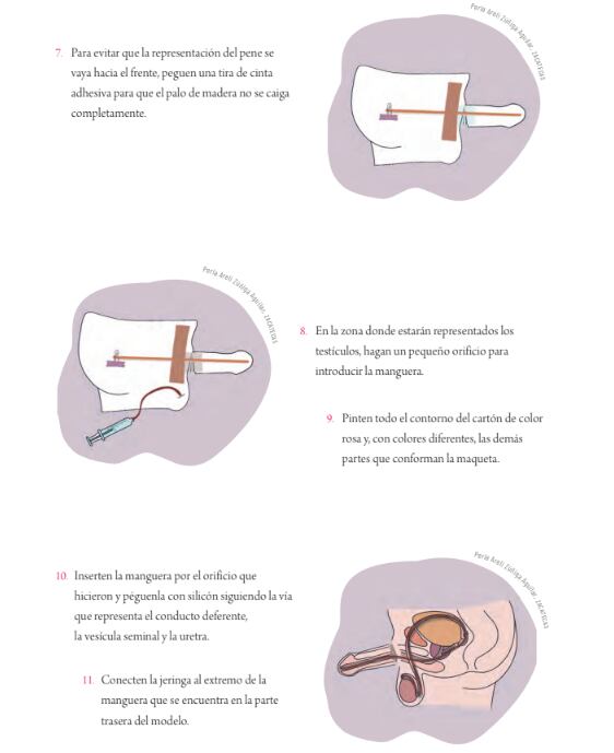 Maqueta de eyaculación