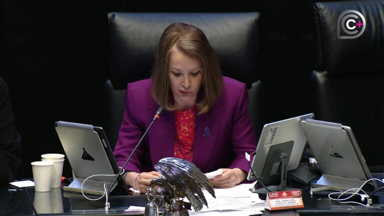 PT respalda a Sheinbaum, pero rechaza la revocación de mandato en el Senado