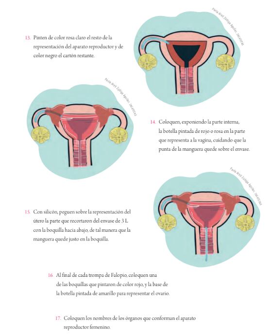 Maqueta de menstruación