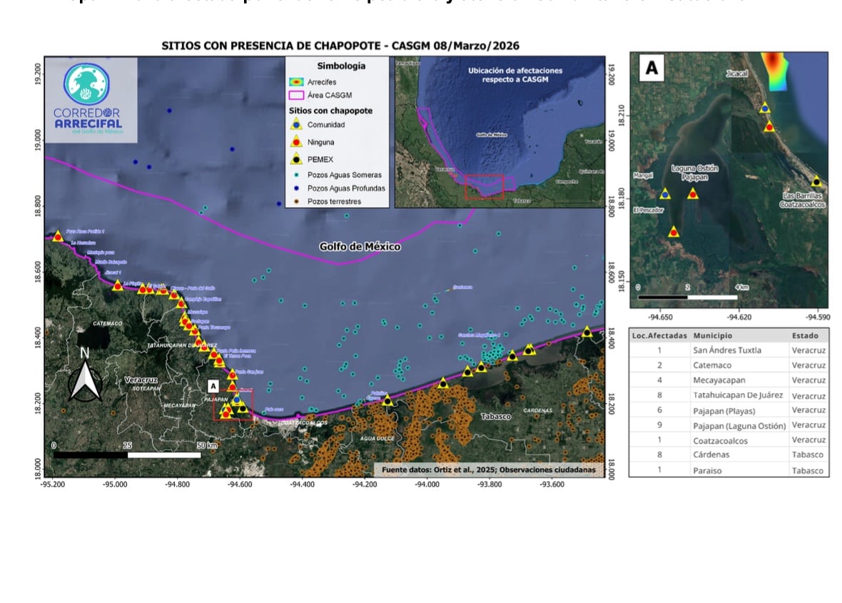 Mancha de petróleo cubre 230 km del litoral de Veracruz y Tabasco; afecta 39 comunidades