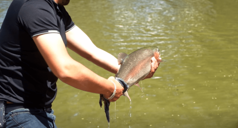 Noticias Chihuahua Pausa.MX Hoy, concurso de pesca en Guachochi