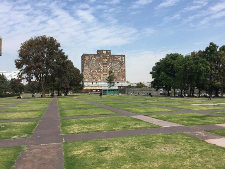 UNAM se posiciona en Nature Index por su producción científica