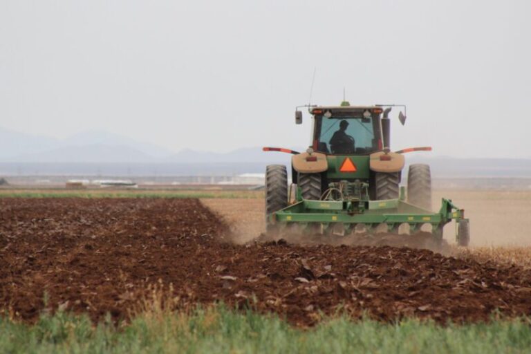 Inicia el ciclo agrícola primavera-verano 2026 en el estado de Chihuahua