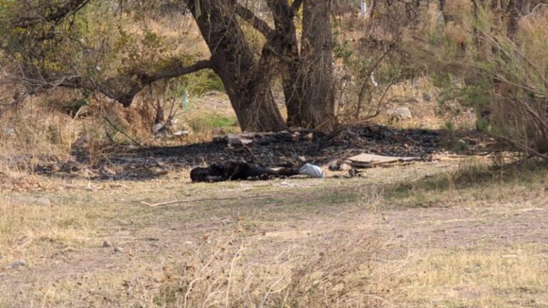 Encuentran cuerpo totalmente calcinado