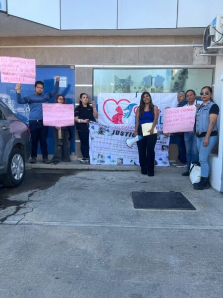 Ante incumplimientos de Marco Bonilla, animalistas presentan pliego petitorio