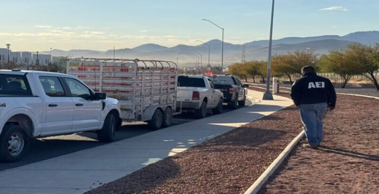 Operativo en Chihuahua por ganado suelto en calles