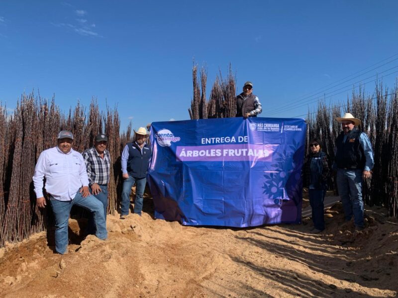 Entrega SDR más de 40 mil árboles frutales del programa Cuenta Conmigo en el Campo