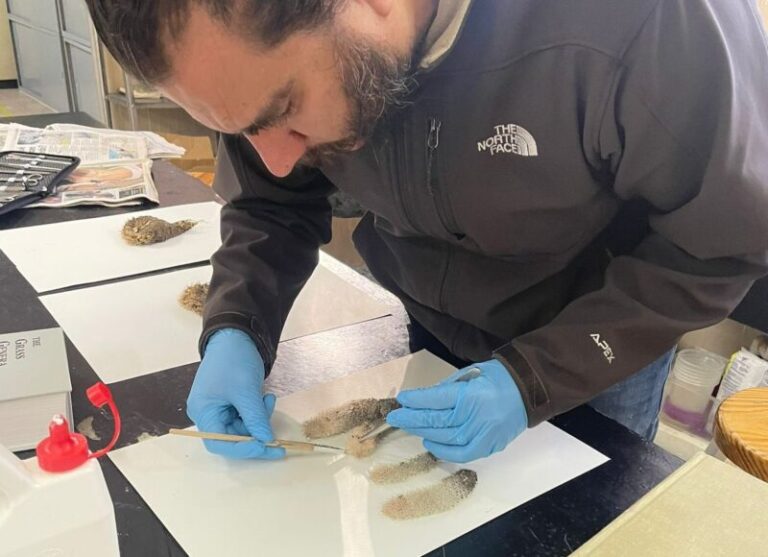 Resguarda FZyE-UACH colección de 4,800 plantas en su Herbario Científico