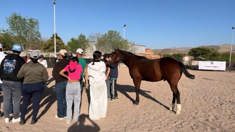 CEAVE realiza primer encuentro de equinoterapia para familias víctimas de violencia