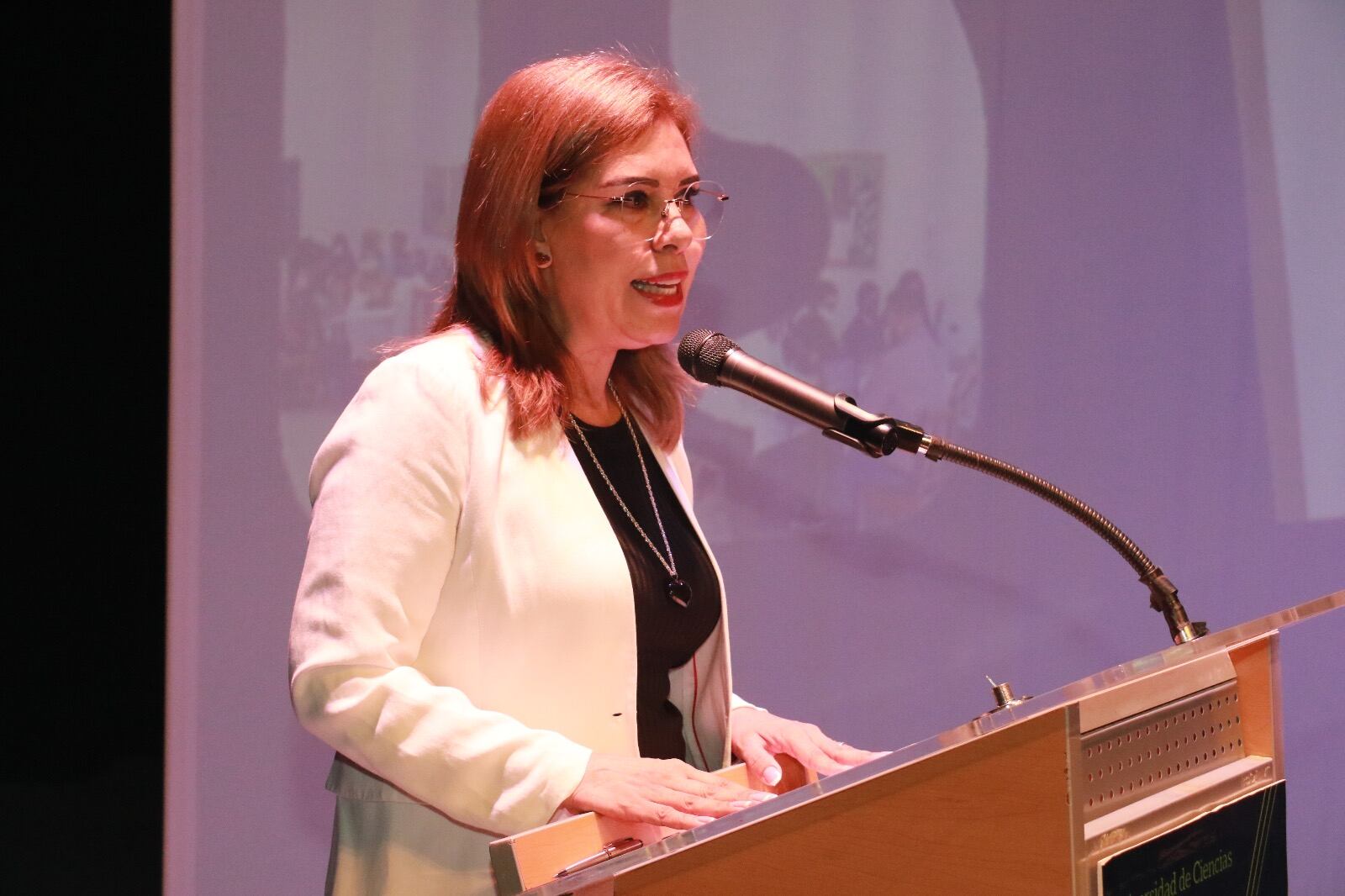 ¿Quién es Rosa Aidé Domínguez Ochoa? Exsecretaria de Educación de Chiapas