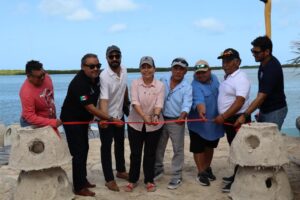 Impacto Marino: Inicia formación del primer arrecife artificial en Río Lagartos