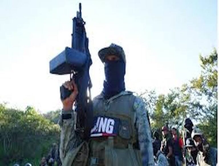 GOLPE AL NARCO: ASEGURAN RED FINANCIERA LIGADA AL CRIMEN ORGANIZADO