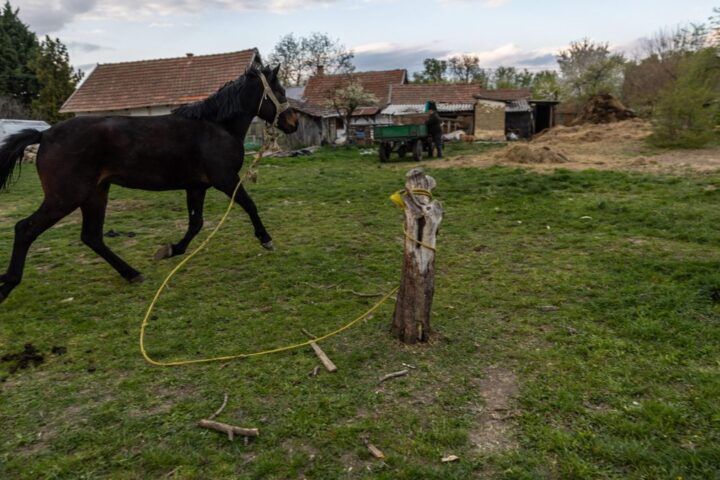 Orbán obtuvo un 92,7% de los votos en Tiszabura, de 3000 habitantes.
