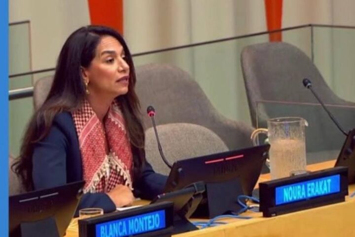 Noura Erakat, en Naciones Unidas en 2025