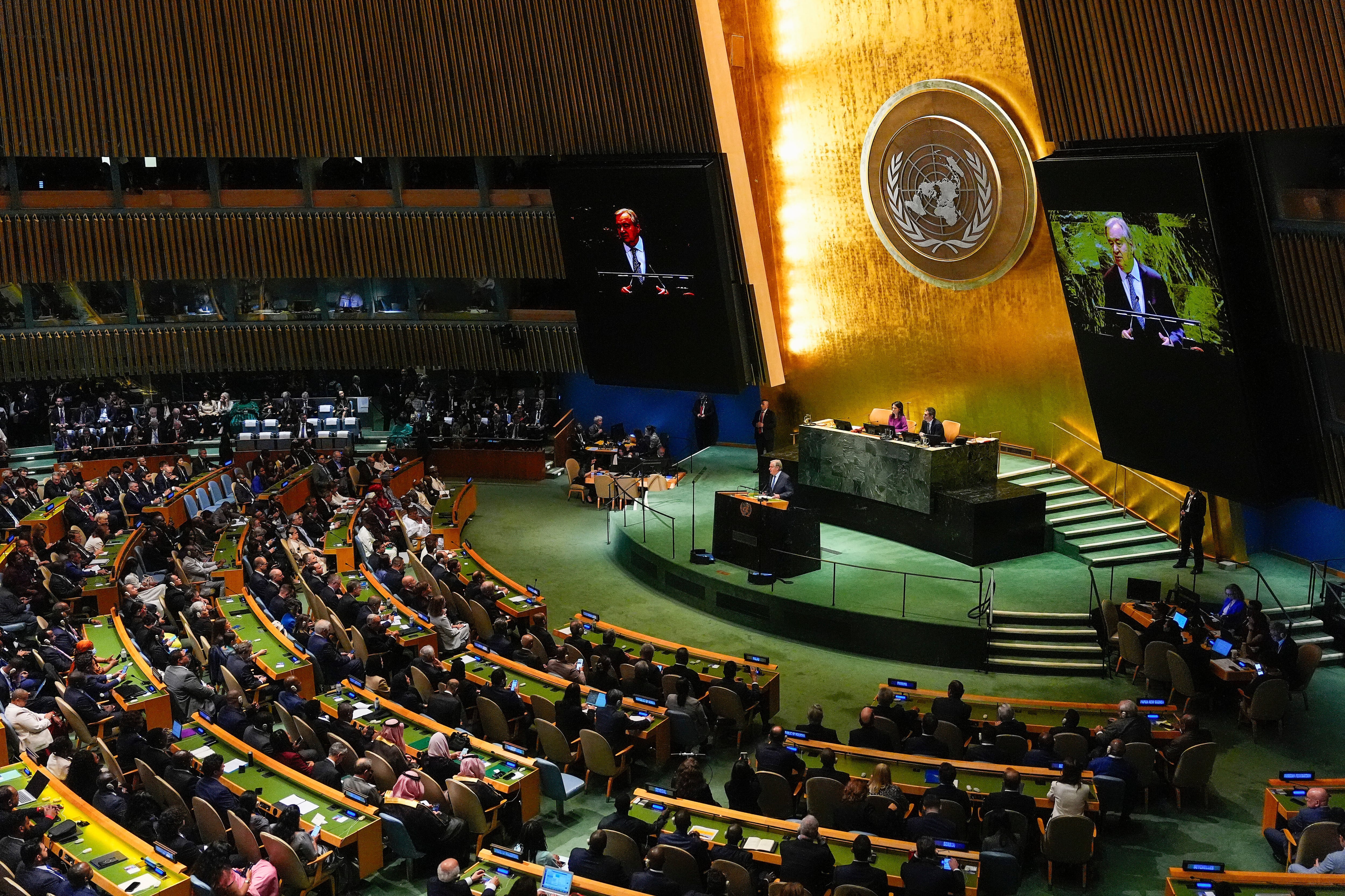 Asamblea de la ONU.