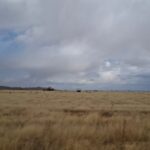 Entrada de frente frío 43 generará lluvia, viento y descenso de temperatura en la entidad