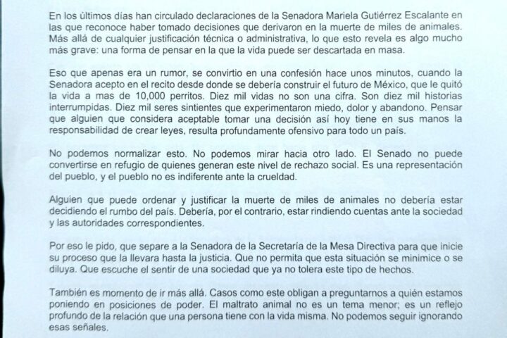 Zyanya Polastri dirige carta a Laura Itzel Castillo por caso de Mariela Gutiérrez