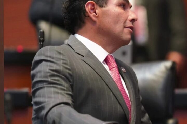 La Comisión Bicamaral de Seguridad Nacional se encarga de analizar la estrategia seguridad del país